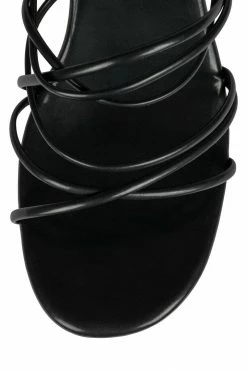 HS Center Of Attention ANDROID