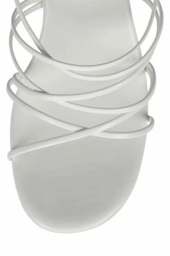 HS Center Of Attention ANDROID