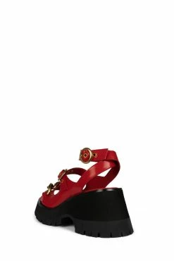 DV CRUNCHED Platforms