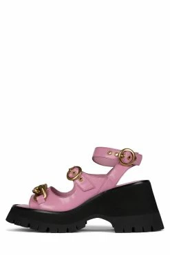 DV CRUNCHED Platforms