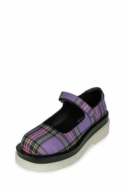 DV DIPLOME Platforms