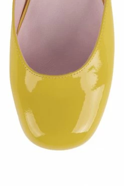 DV ECOLIER Platforms