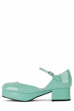 DV ECOLIER Platforms