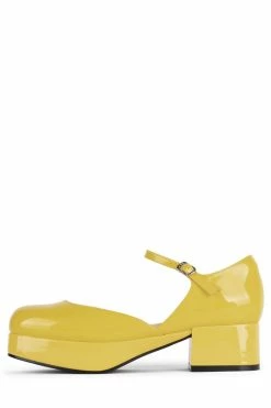 DV ECOLIER Platforms