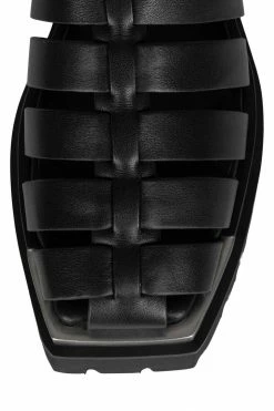 Jeffrey Campbell LAFAYETTE New Arrivals