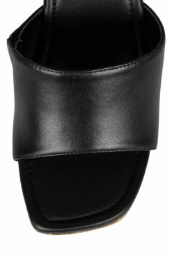 DV PELLUCID Center Of Attention