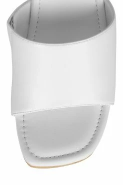 DV PELLUCID Center Of Attention