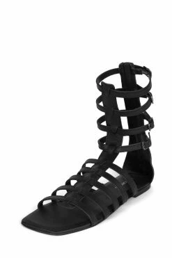 Jeffrey Campbell TOP-2 Sandals